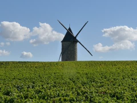 Ramoneur Blaignan-Prignac