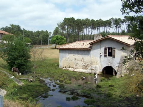 Ramoneur Lerm-et-Musset